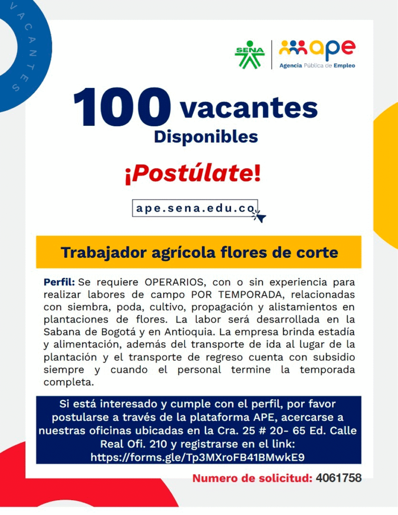 Trabajo en cultivo de flores