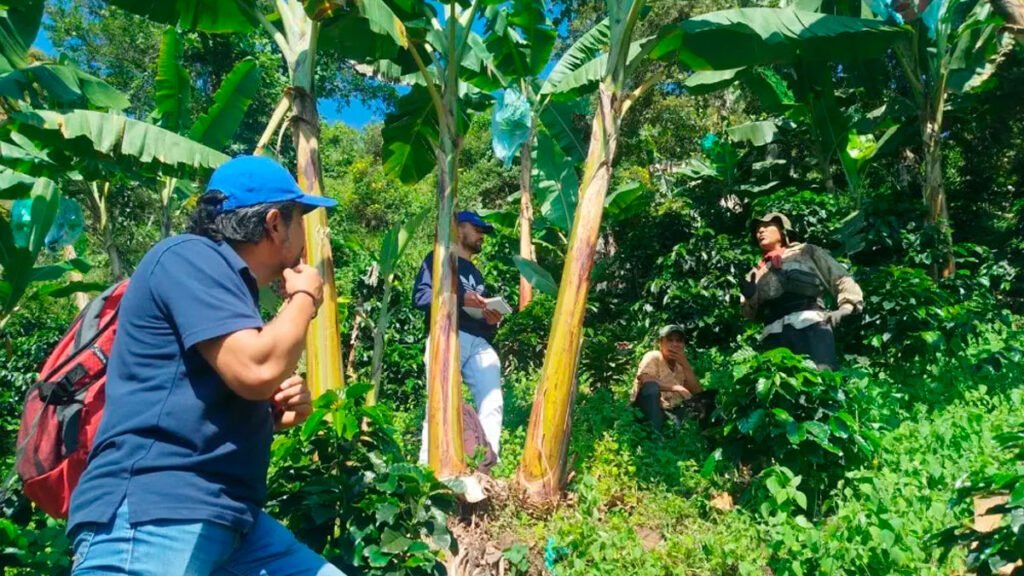 Transporte de productos agrícolas en Los Andes