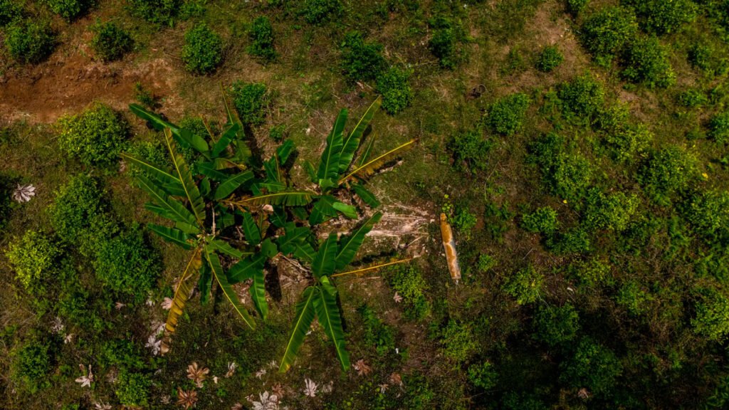 Bomba en la frontera de Colombia y Ecuador