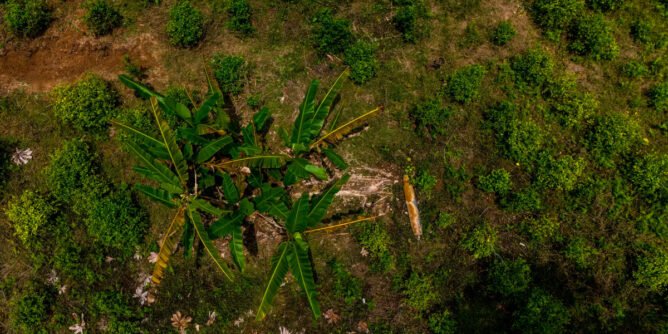 Bomba en la frontera de Colombia y Ecuador
