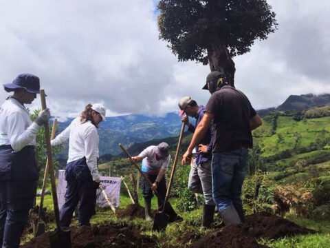 Búsqueda de personas desaparecidas en municipios de Nariño
