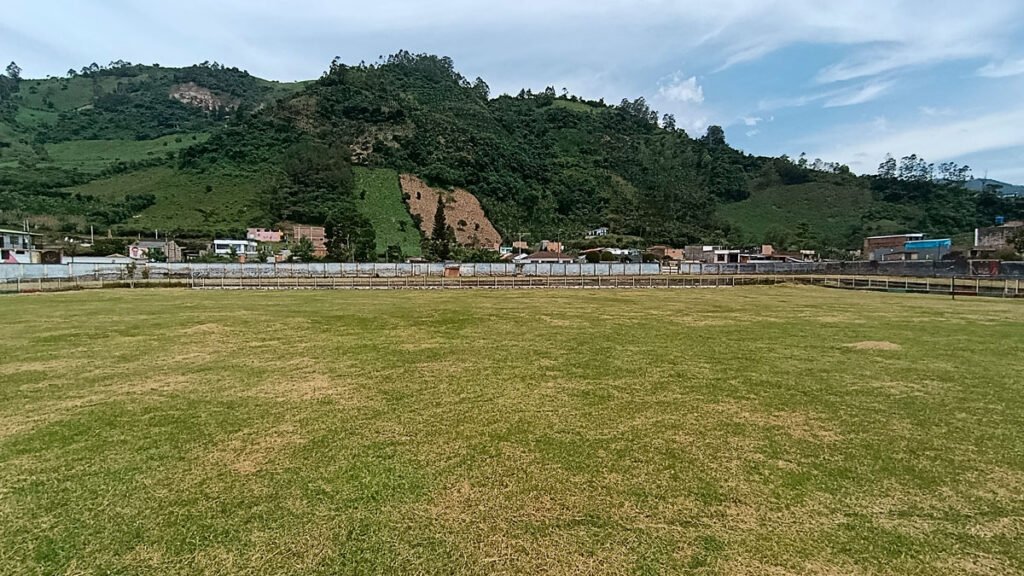 Estadio Cañaveral podado
