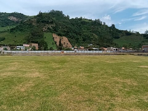 Estadio Cañaveral podado
