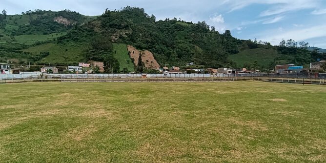 Estadio Cañaveral podado