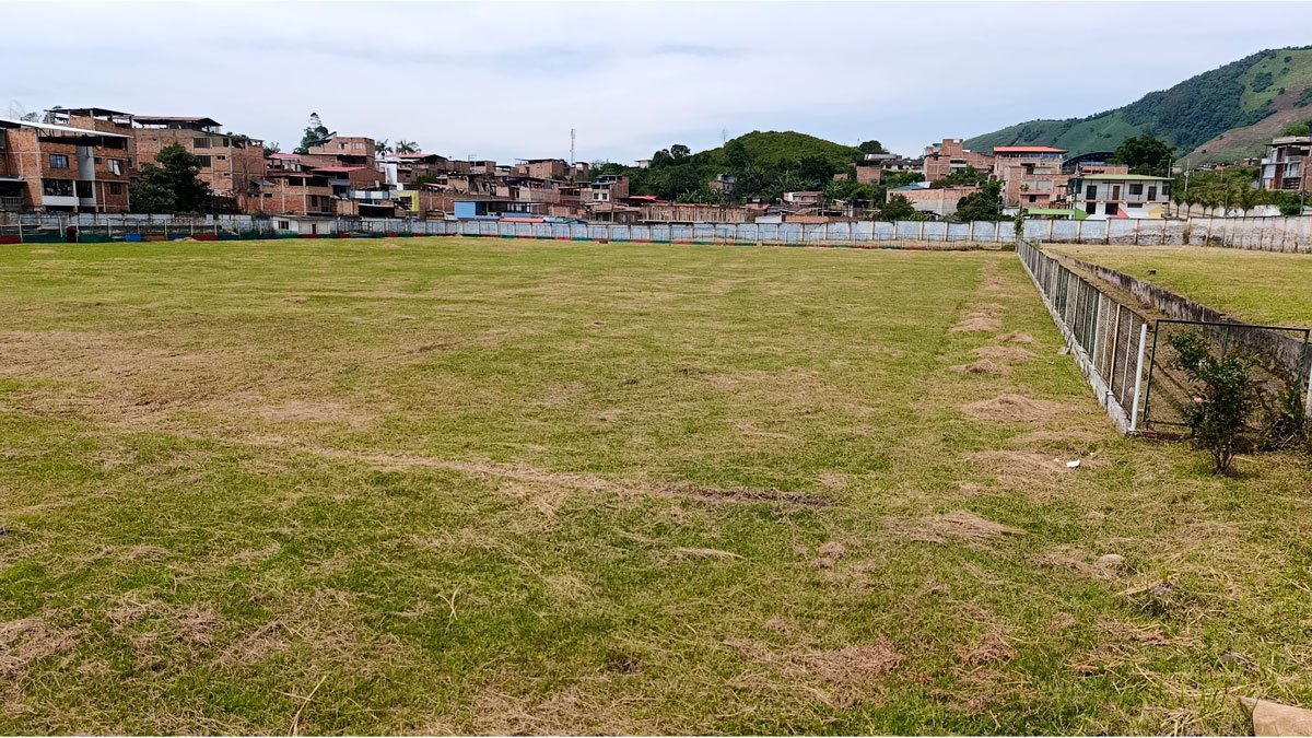 Estadio Cañaveral podado