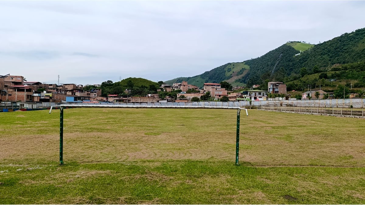 Estadio Cañaveral podado