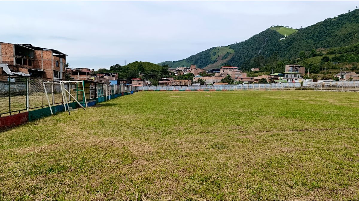 Estadio Cañaveral podado