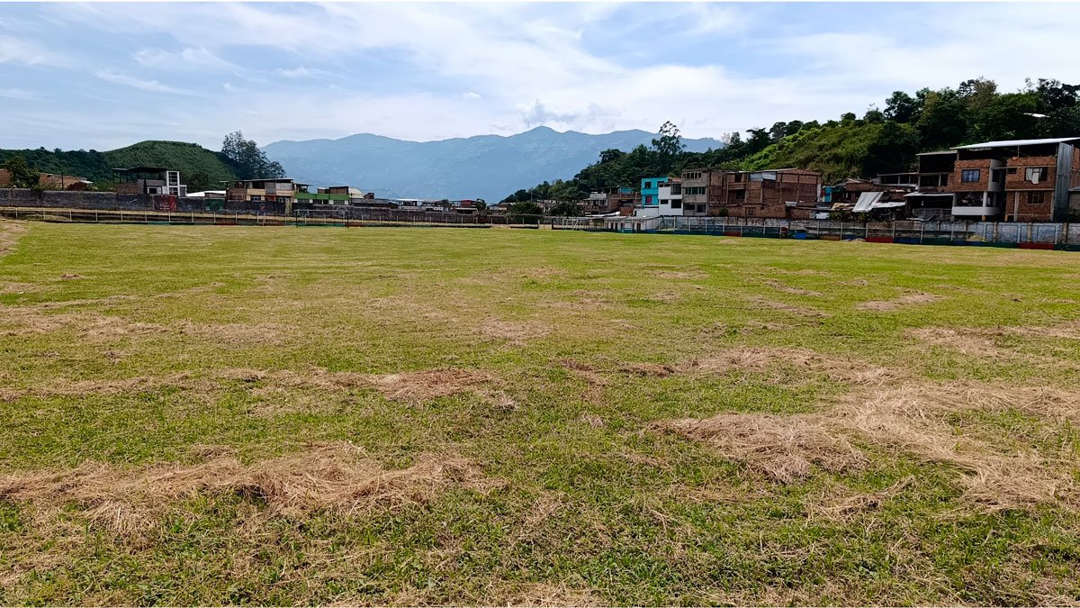 Estadio Cañaveral podado
