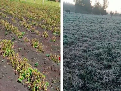 Heladas en el sur de Nariño