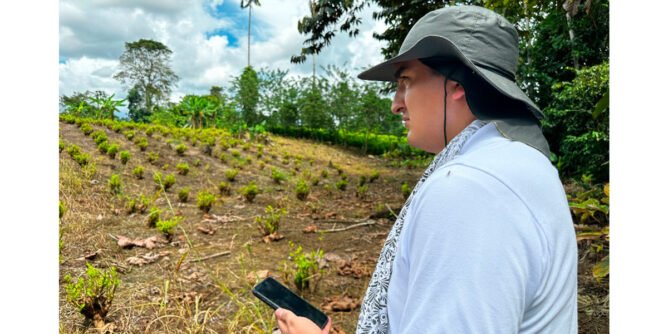 Identificación de predios para iniciar sustitución de cultivos