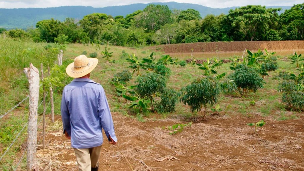 Finca en el Valle del Cauca