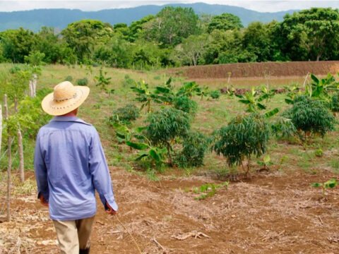 Resolución 2057 de 2025 desata protestas por aumento en avalúos castrales Finca en el Valle del Cauca