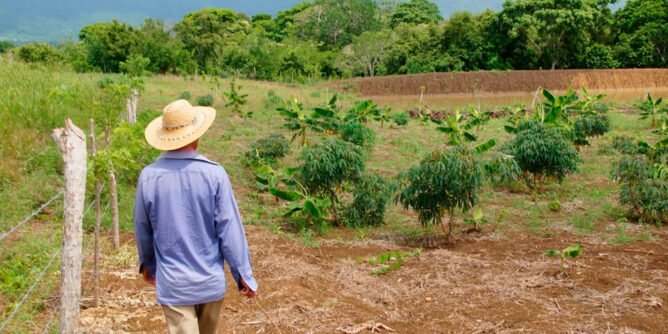 Finca en el Valle del Cauca