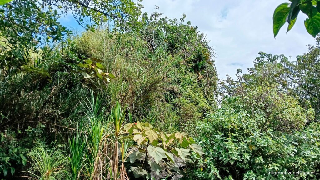 Piedra Larga en Ancuya