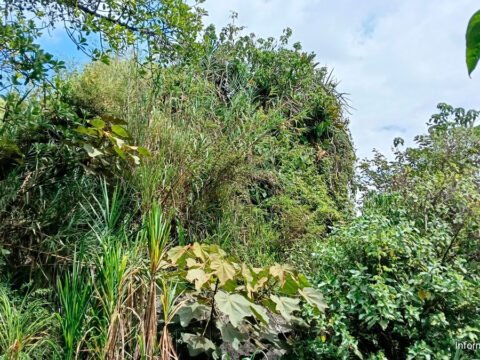 Piedra Larga en Ancuya: historia, leyenda y olvido de una roca emblemática Piedra Larga en Ancuya