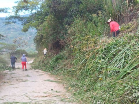 Rocería de vía Ancuya - Linares