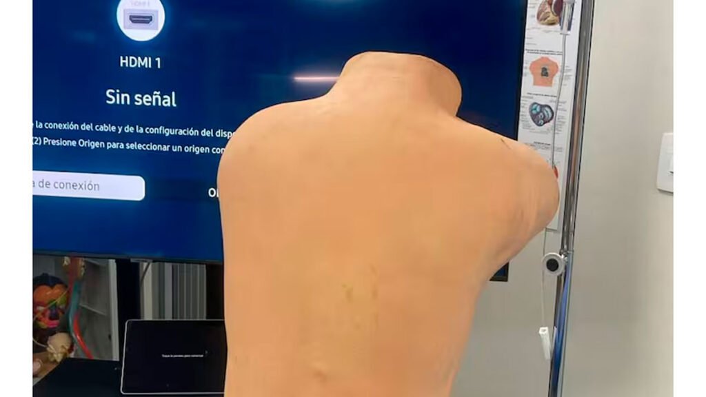 Simulador de mediana fidelidad para punción lumbar