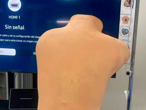 Simulador de mediana fidelidad para punción lumbar