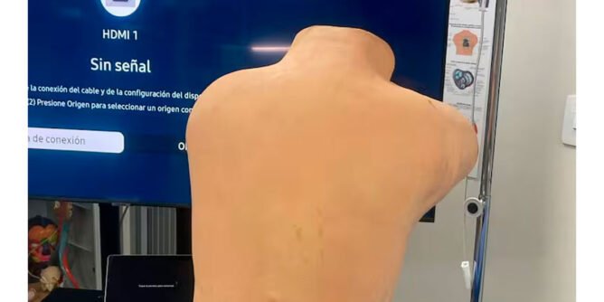 Simulador de mediana fidelidad para punción lumbar