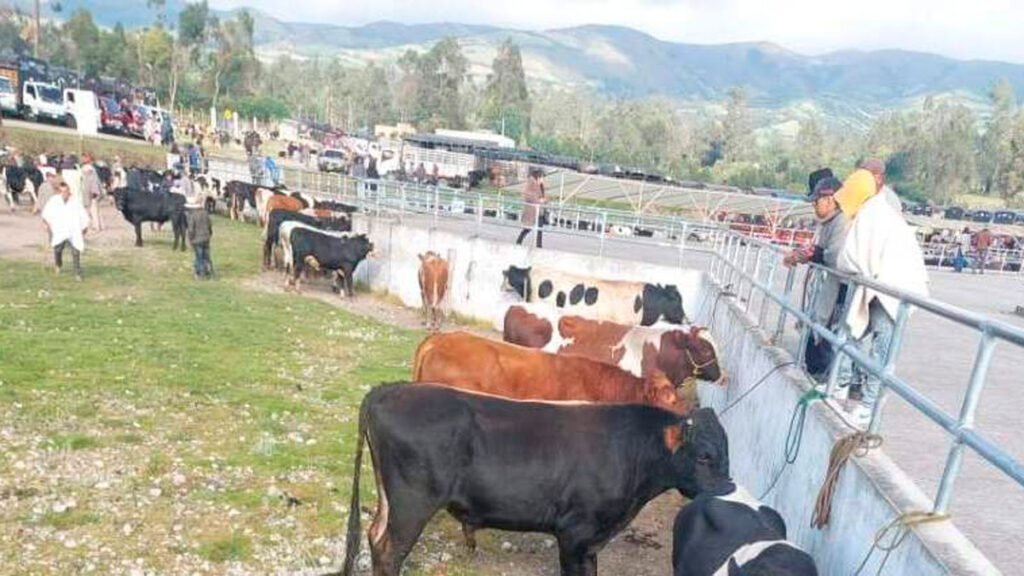 mercado de ganado