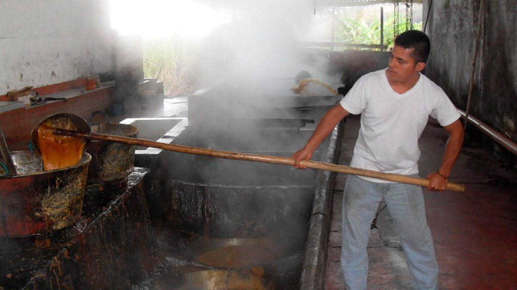 Elaboración de panela