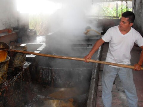 Elaboración de panela