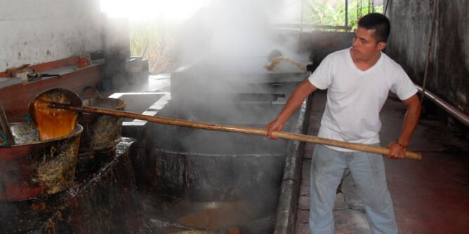 Elaboración de panela