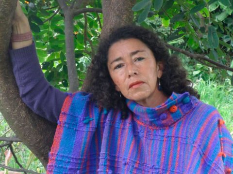 Liliam Gómez Cabrera, columnista