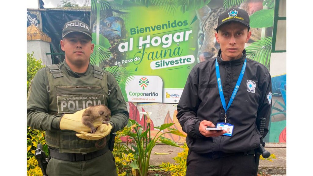 Rescate de un perro de monte en Albán, Nariño