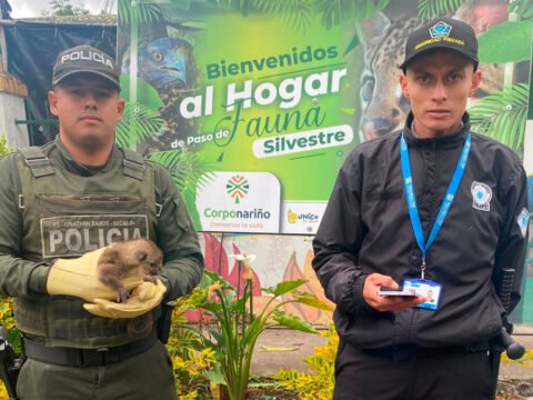 Rescate de un perro de monte en Albán, Nariño