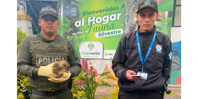 Rescate de un perro de monte en Albán, Nariño