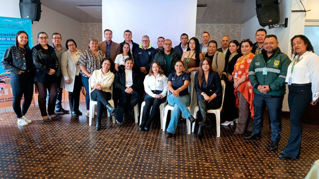 Comité departamental de seguridad vial
