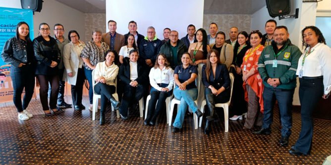 Comité departamental de seguridad vial