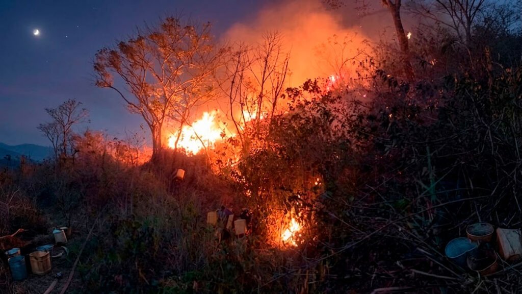 Incendio forestal en Las Delicias