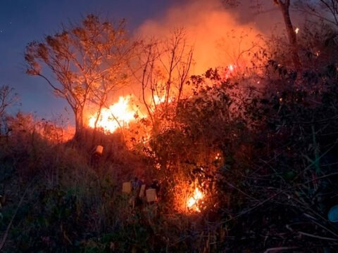 Incendio forestal en Las Delicias