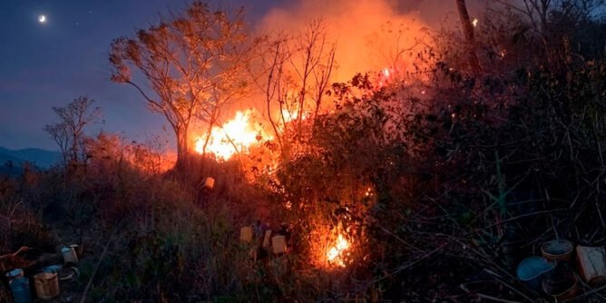 Incendio forestal en Las Delicias