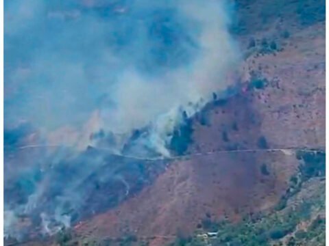 Incendio forestal en Hatillo Medina