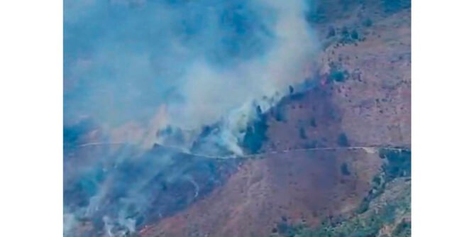 Incendio forestal en Hatillo Medina