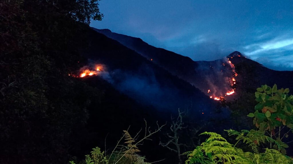 Incendio forestal en Los Andes