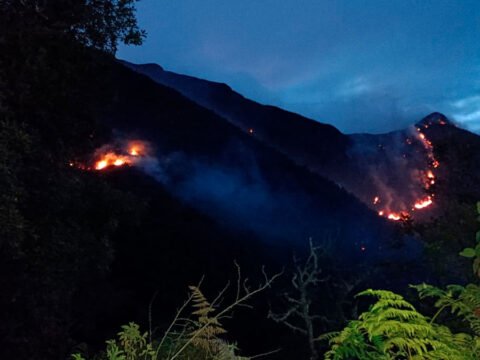 Incendio forestal en Los Andes