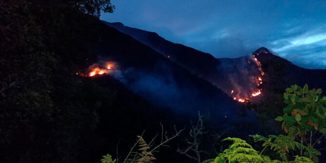 Incendio forestal en Los Andes