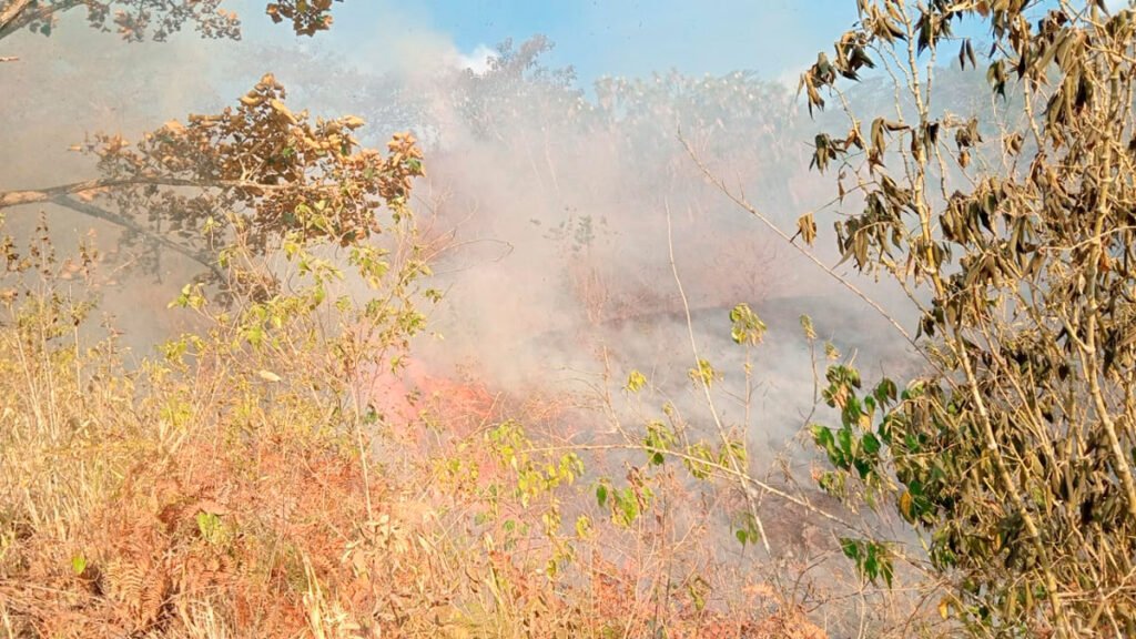 Incendio forestal en Plan Guáitara