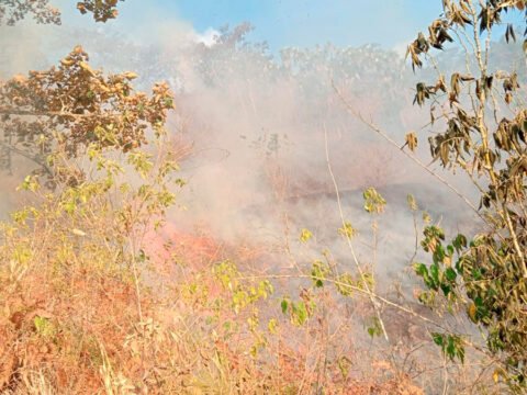 Incendio forestal en Plan Guáitara