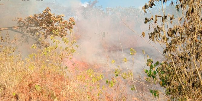 Incendio forestal en Plan Guáitara