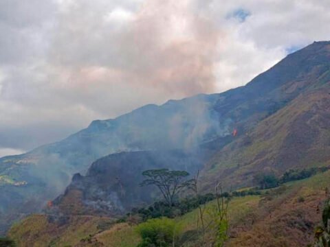 Incendio forestal en Yananchá, Ancuya