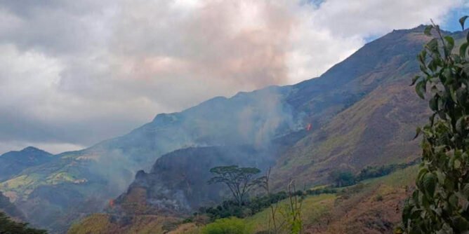 Incendio forestal en Yananchá, Ancuya