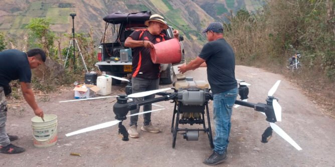 Fumigación de caña panelera con dron