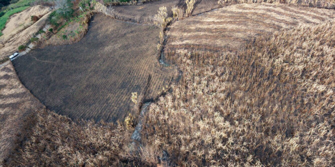 Incendio forestal