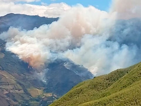 Incendio forestal en Ancuya