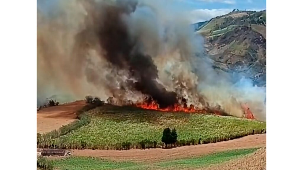 Incendio forestal en Ancuya